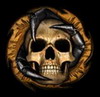 L'avatar di Skullcrusher