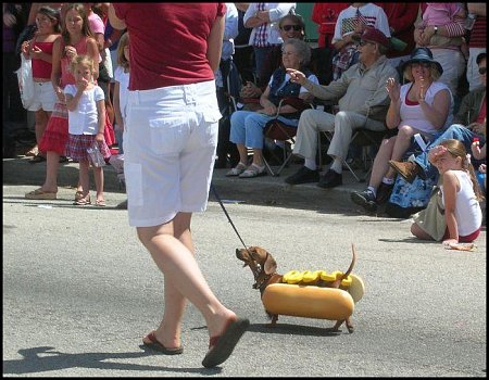 Clicca sull'immagine per ingrandirla

Nome:   HotDoggy...jpg
Visite: 1717
Dimensione:   77.4 KB
ID: 4291