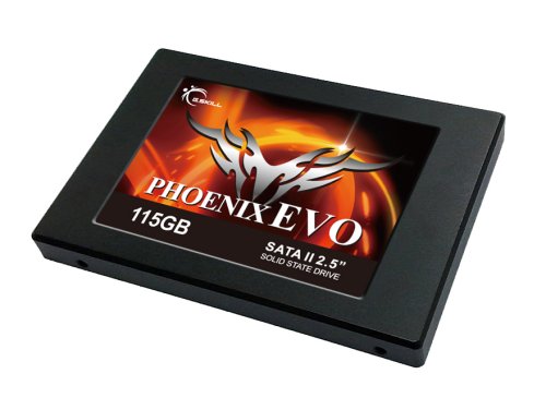 gskill_evo_115gb