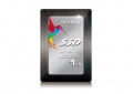 I nuovi SSD sono equipaggiati da un controller SMI ed integrano la tecnologia BCH.