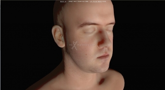 skin webgl demo image