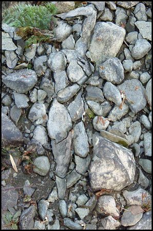 Clicca sull'immagine per ingrandirla

Nome:   Rock_20Art_20Rotskunst.jpg
Visite: 1028
Dimensione:   132.3 KB
ID: 4298