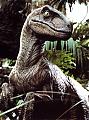 L'avatar di RaptorX