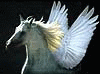 L'avatar di Pegaso