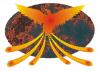 L'avatar di fenix64