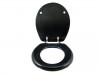 2-carbon-fiber-toilet-seat_big.jpg