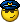 polizia