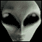 L'avatar di killer978