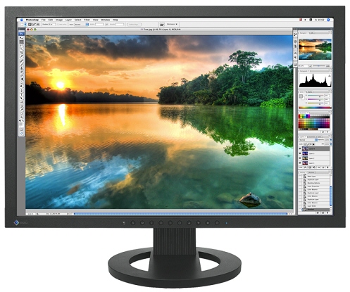EIZO  CG223W 22