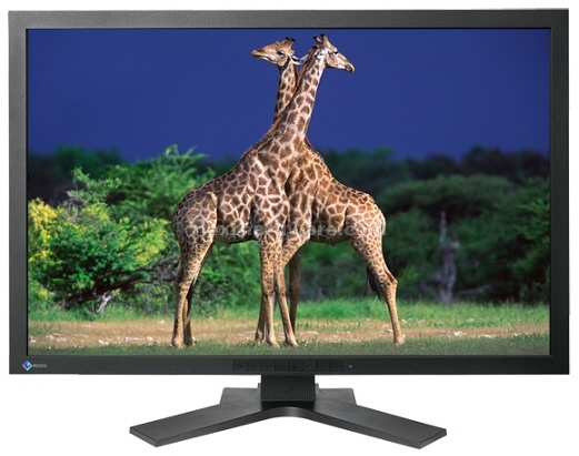 EIZO CG303W monitor da 30