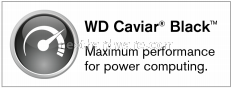 Western Digital Caviar Black 1000 Gbyte 1