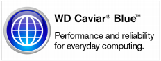 Western Digital Caviar Black 1000 Gbyte 2