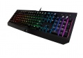 Il sistema di gestione dei colori RGB sar� di serie a cominciare dalla nuova Blackwidow.
