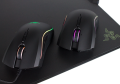 Belli e quasi impossibili, ecco i due nuovi mouse gaming al vertice dell'offerta del produttore americano.