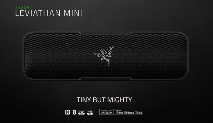 Razer Leviathan Mini 1