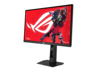 Un monitor da 24