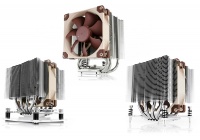 Piccole, potenti e silenziose, le nuove soluzioni promettono di tenere a bada i bollenti spiriti delle recenti CPU Xeon.