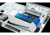 In arrivo una nuova linea di memorie particolarmente glamour e performanti.