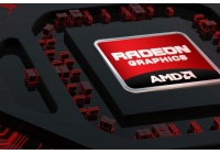 E' AMD stessa a dirlo in occasione della relazione di agosto ai propri investitori.