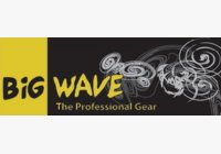 Big Wave logo