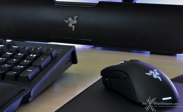 Razer Mamba + Firefly HyperFlux 7. Conclusioni 2