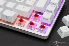 ASUS ROG Falchion Ace & Gladius III Wireless Aimpoint 3. ROG Falchion Ace - Parte seconda 6