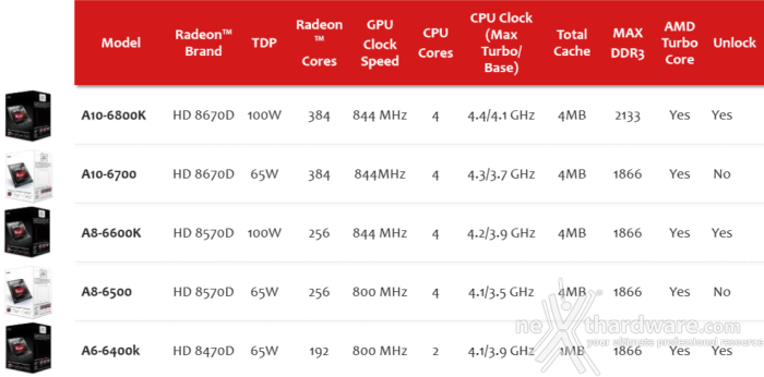 AMD 