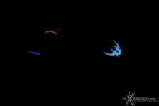 Corsair Gaming Sabre RGB Laser & Optical 4. Software di gestione - Parte prima 14