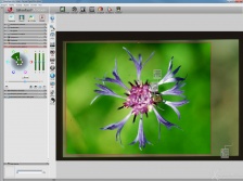 Test dello scanner per diapositive PLUSTEK OpticFilm 8200i 2. Software 6