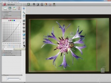 Test dello scanner per diapositive PLUSTEK OpticFilm 8200i 2. Software 7